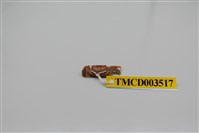 藏品(悅目大眼蟹)的圖片